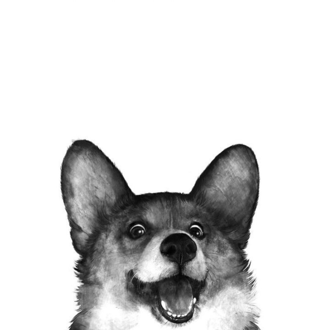 BookReader Visual Studio Marketplace